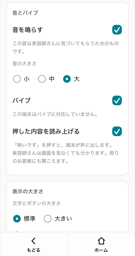 表示の大きさや音などを調整する設定画面